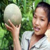 du lịch suối đá trứng - Lào Cai