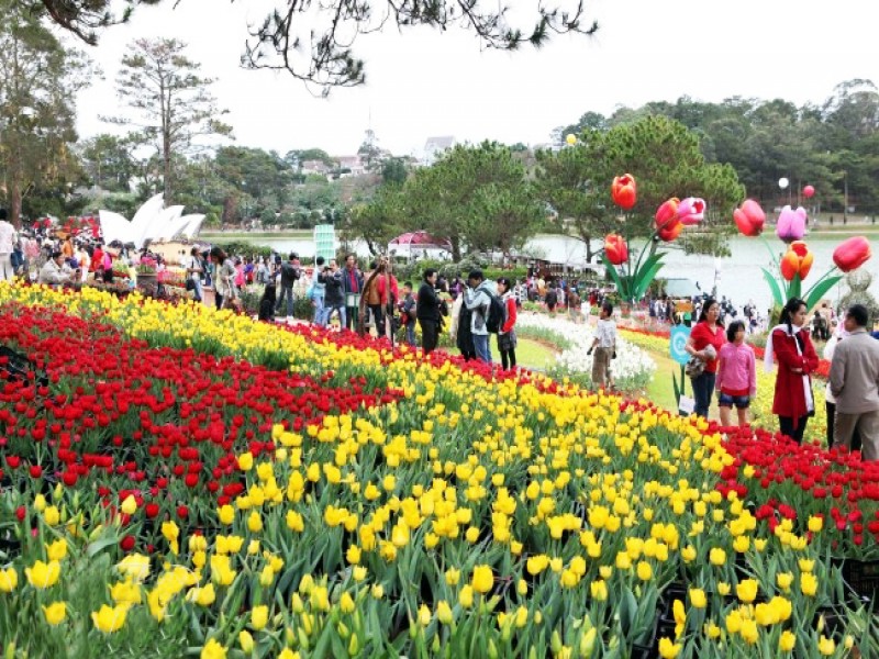 Tour Thanh Hoa - Nha Trang - Da Lat 4 Ngay 3 Dem