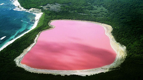 Hồ nước hồng – Úc